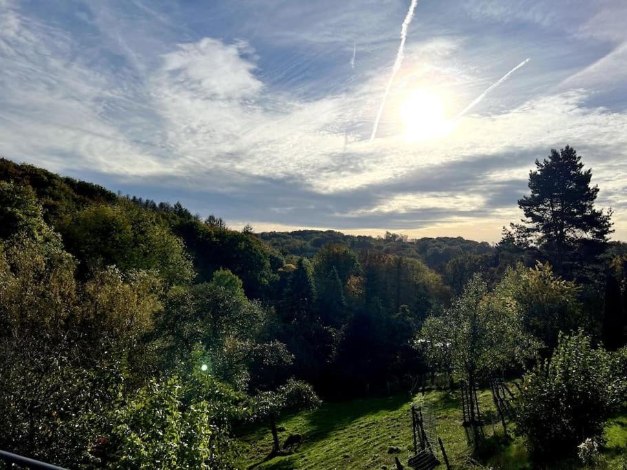 Forest Retreat- Serene 160M2 With Forest Views Wermelskirchen Exterior foto